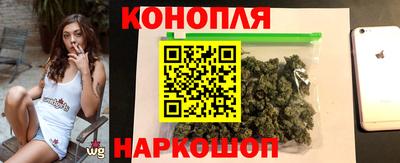 стаф Лесосибирск
